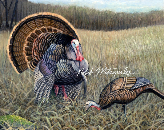 2022 Wisconsin Turkey Stamp Winner