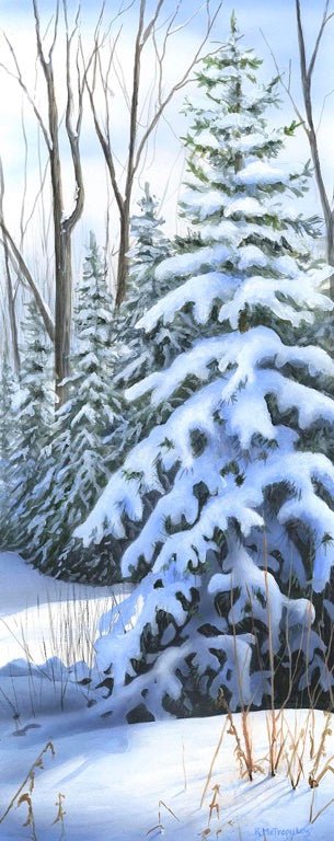 "Winter's Blanket"